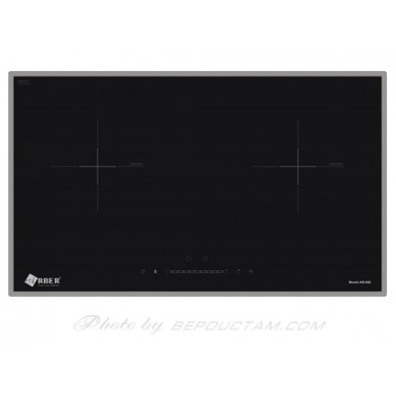 Bếp Từ Arber AB 666